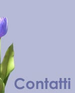 CONTATTI